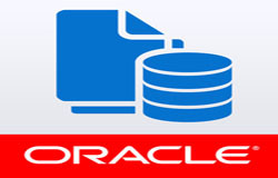 Oracle数据库管理工具有哪些?-北京必威线上平台,必威（中国）公司