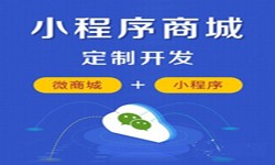 微信小程序开发、商城小程序开发功能-锐智互动必威线上平台,必威（中国）