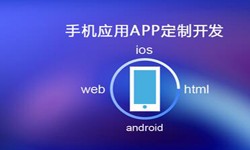 APP开发市场上常见问题分析-北京必威线上平台,必威（中国）公司